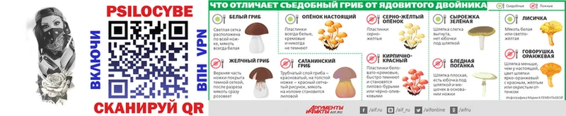 продажа наркотиков  Власиха  Псилоцибиновые грибы GOLDEN TEACHER 
