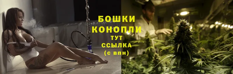 Бошки Шишки OG Kush  Власиха 